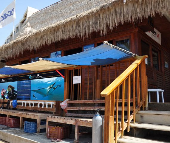 Reef Oasis Dive Club - Sharm El Sheikh