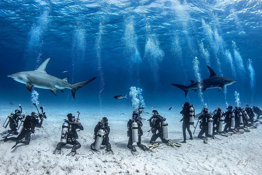 Neal Watson's Bimini Scuba Center