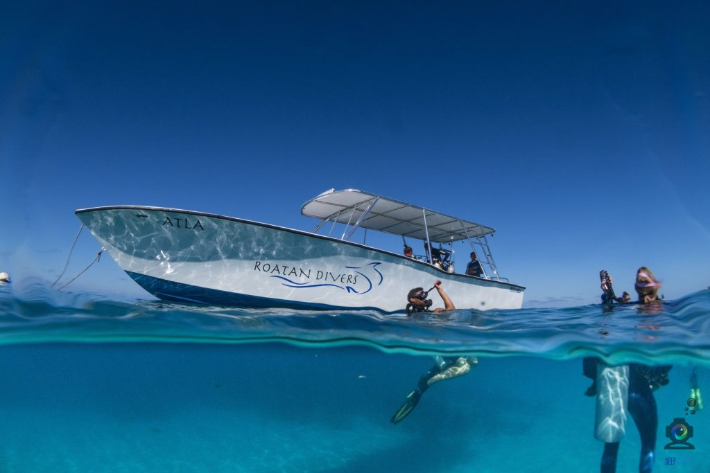 Roatan Divers