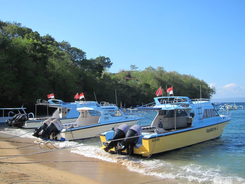 AquaMarine Diving - Bali