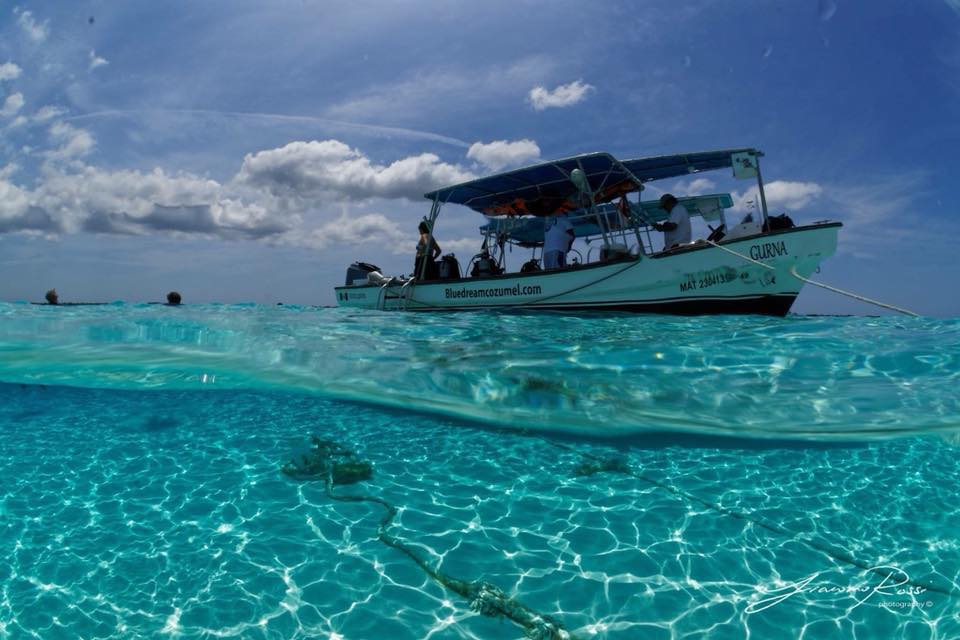 Blue Dream Cozumel