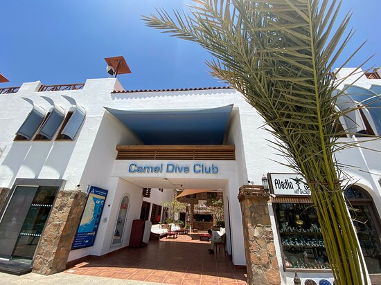 Camel Dive Club & Hotel