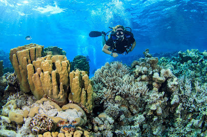 H2O Divers Dahab