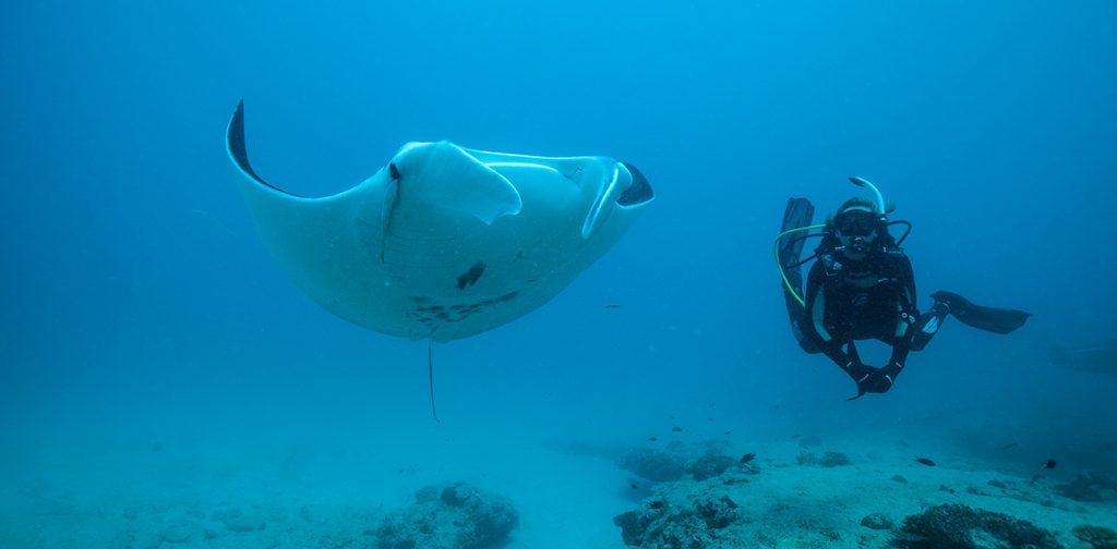 Dive Ningaloo