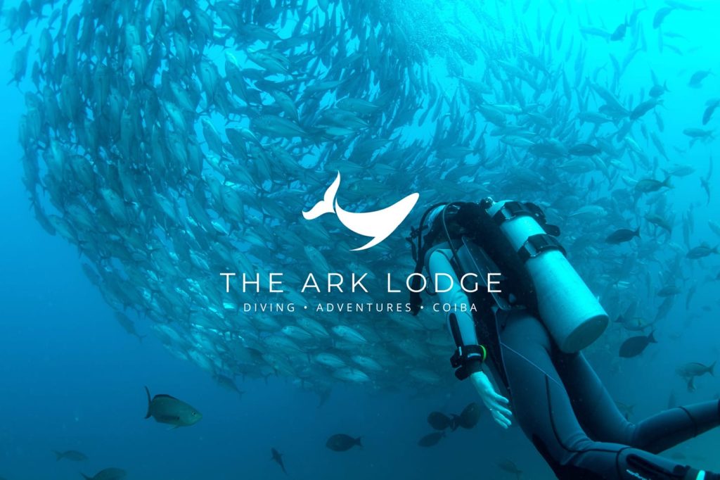 The Ark Lodge Divers