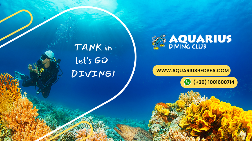 Aquarius Diving Club - Hurghada