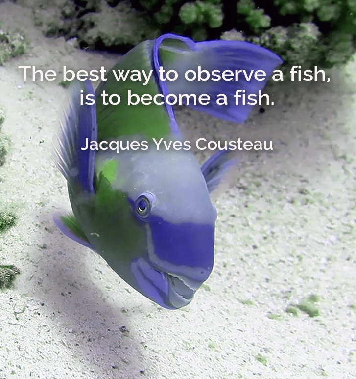 The best way to observe a fish is to become a fish. – Jacques Yves Cousteau