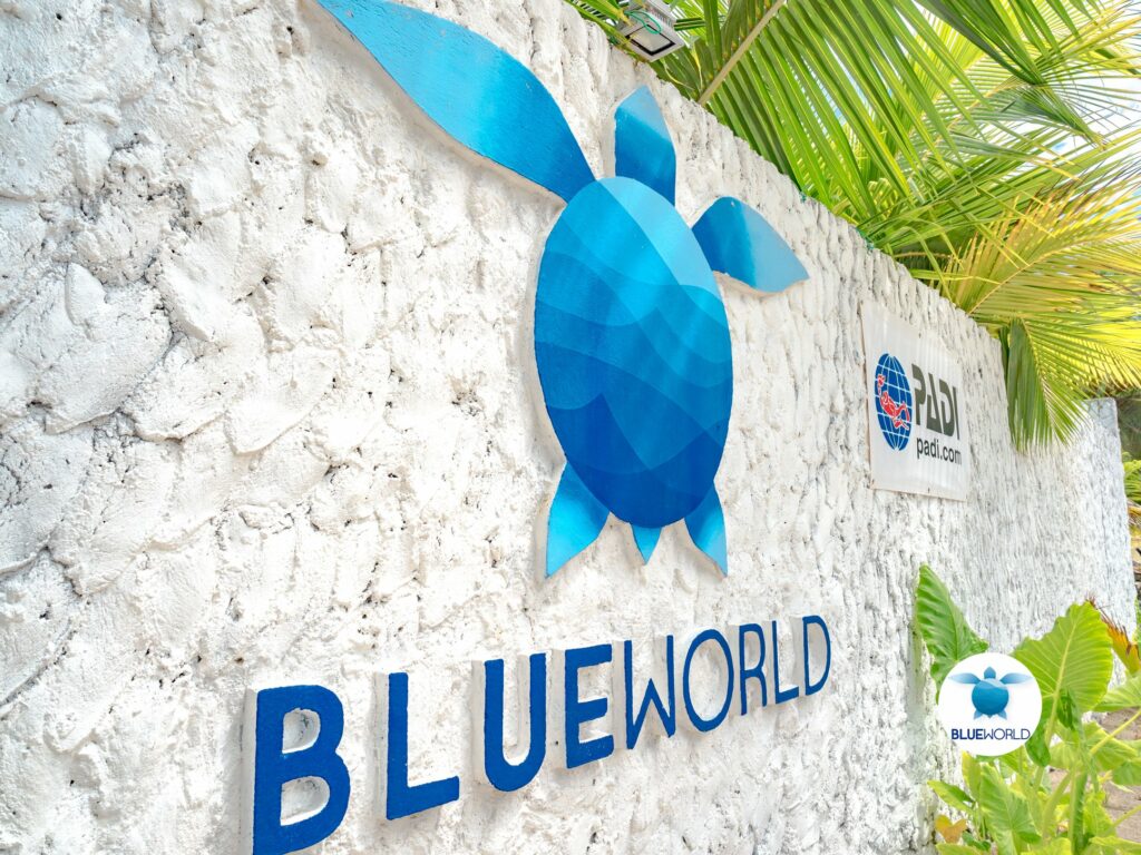 Blue World Dharavandhoo