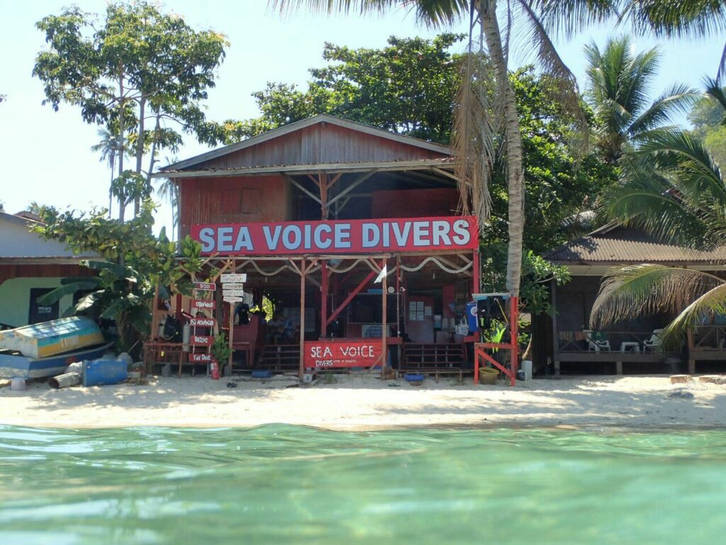 Sea Voice Divers