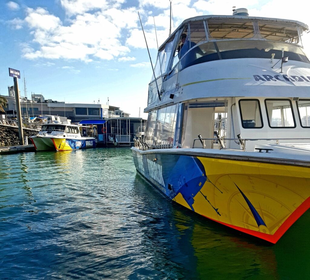 Hervey Bay Dive Centre