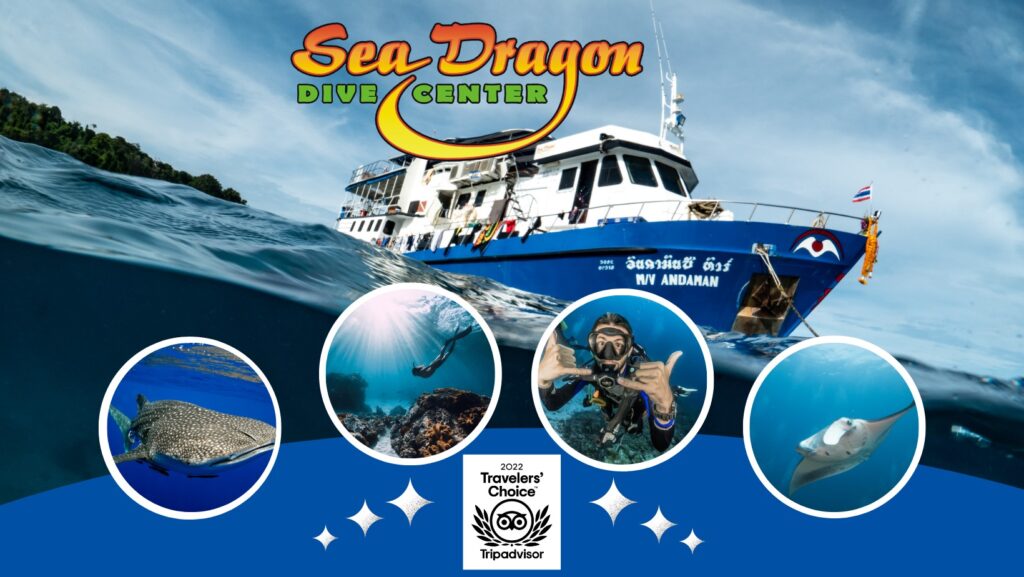 Sea Dragon Dive Center