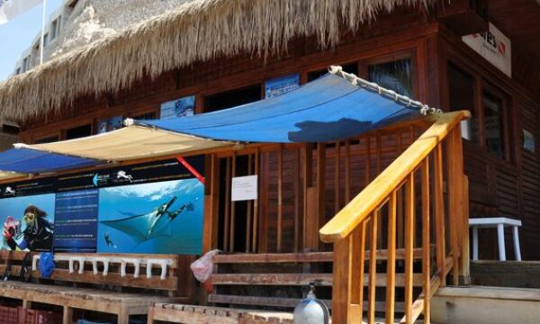 Reef Oasis Dive Club - Sharm El Sheikh