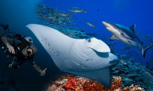 Aquaventure Maldives