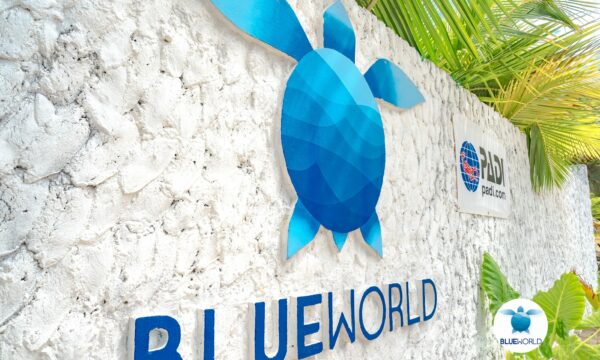 Blue World Dharavandhoo