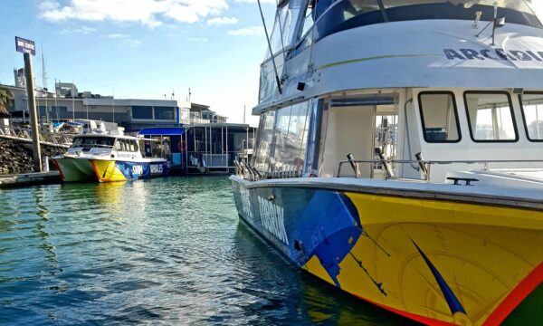 Hervey Bay Dive Centre