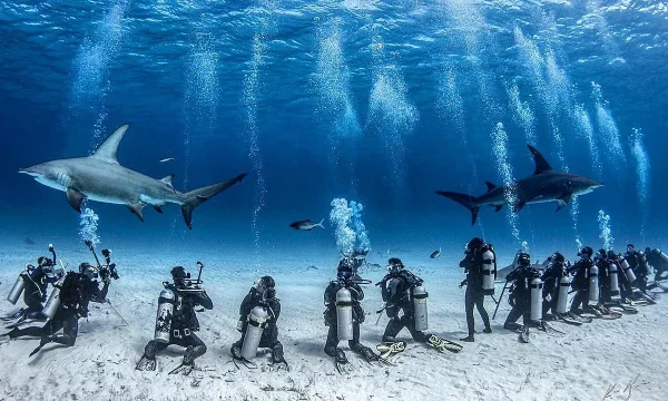 Neal Watson's Bimini Scuba Center