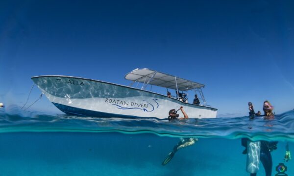 Roatan Divers