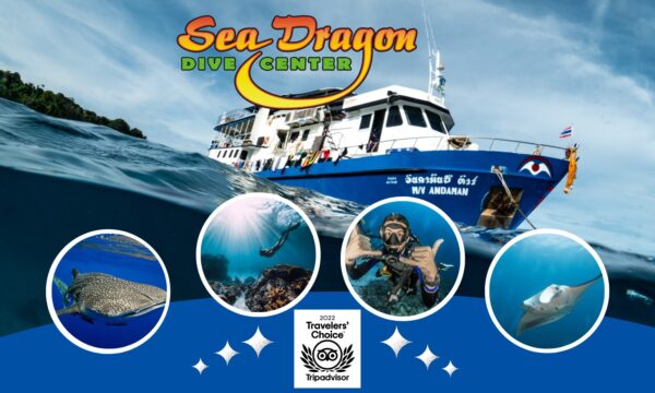 Sea Dragon Dive Center