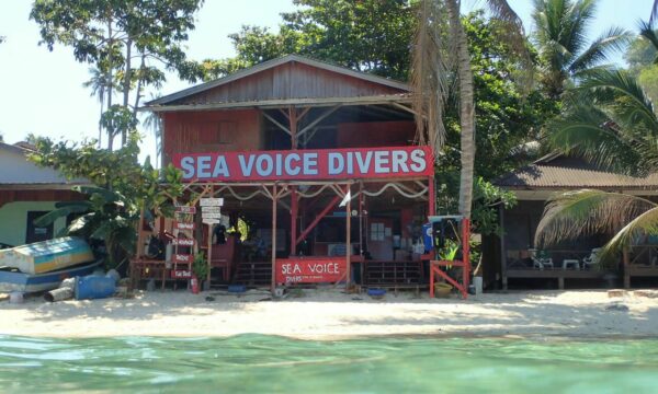 Sea Voice Divers