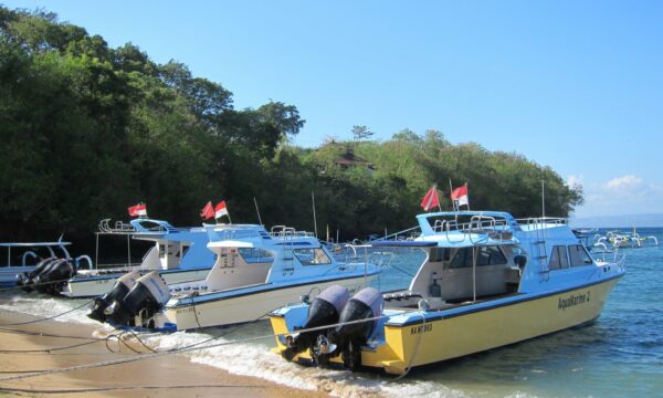 AquaMarine Diving - Bali