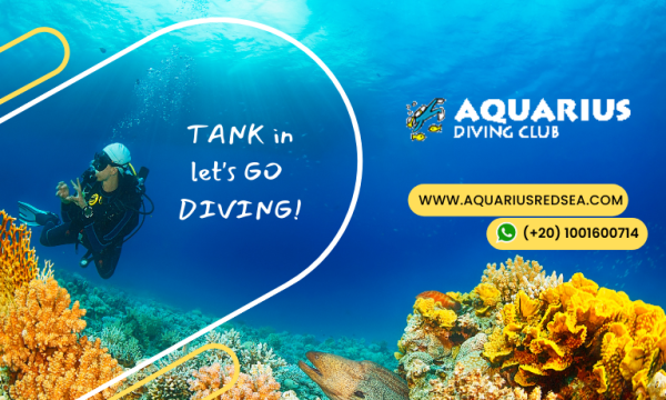 Aquarius Diving Club - Hurghada