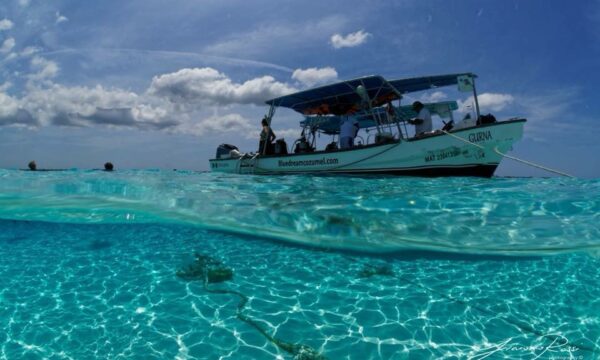 Blue Dream Cozumel