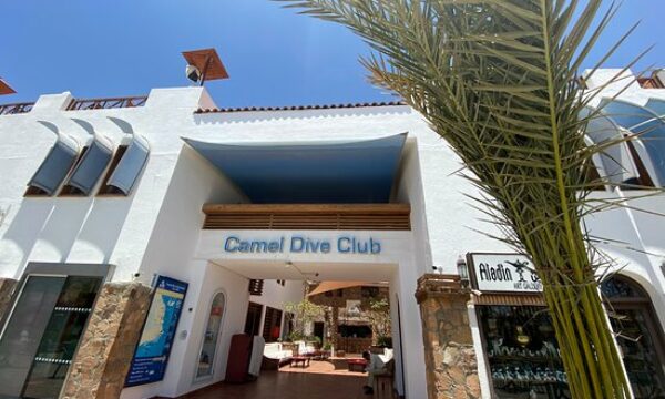 Camel Dive Club & Hotel