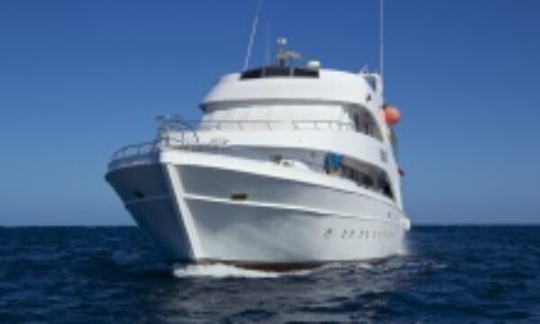 Dune Liveaboard Sudan