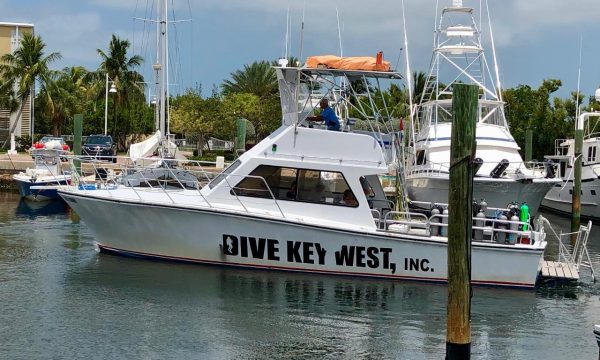 Capt. Hook's Dive Key West