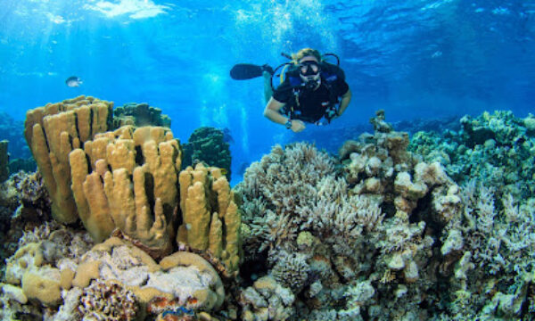 H2O Divers Dahab