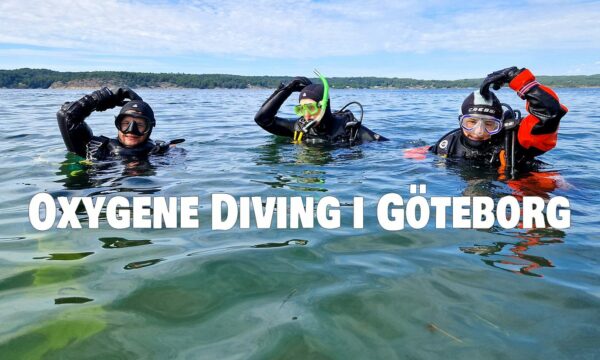 Oxygene Diving