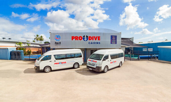 Pro Dive Cairns