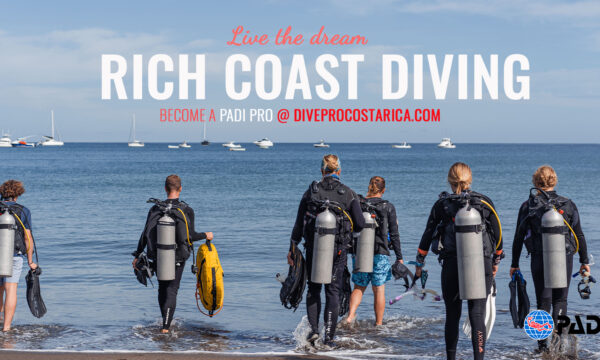 Rich Coast Diving