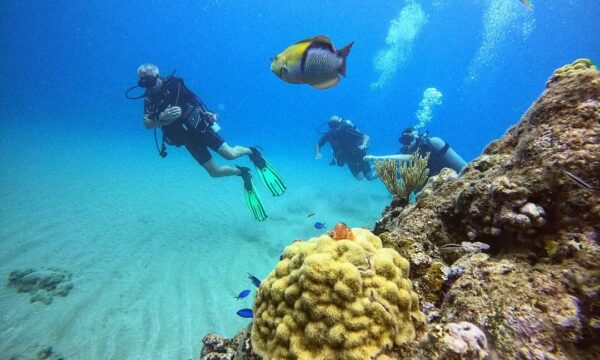 Superior Dive Sosua