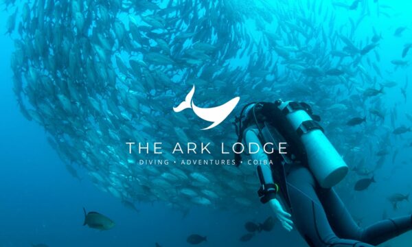 The Ark Lodge Divers